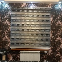 Жалюзи (День-ночь)