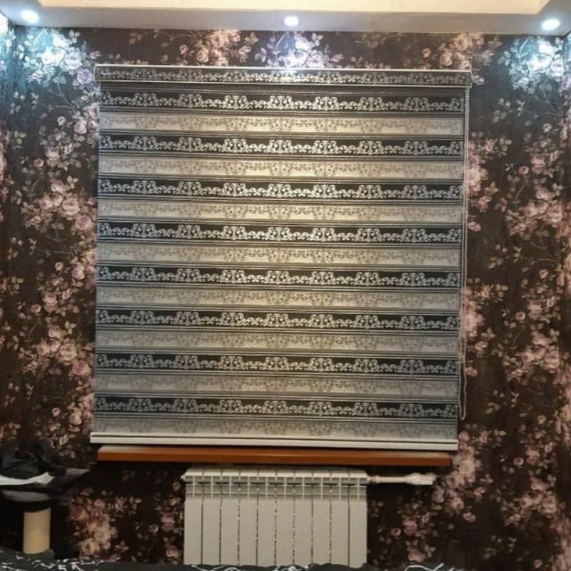 Жалюзи (День-ночь)