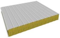  Стеновые сэндвич-панели цвет RAL 9003 - 