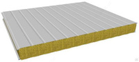 Стеновые сэндвич-панели плотность 100кг/м3