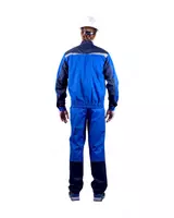 васильковый