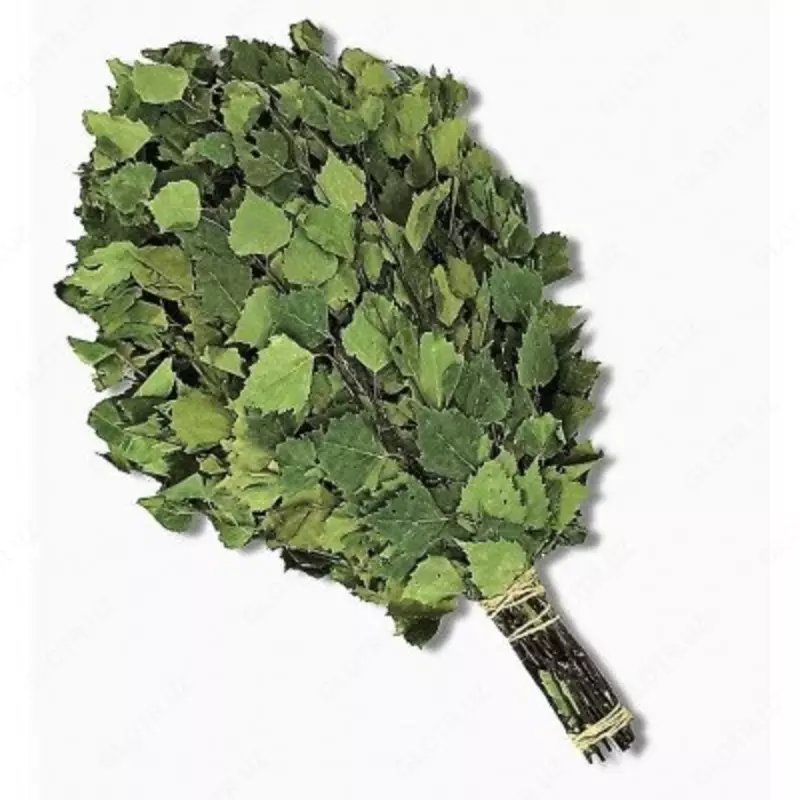 Веник для бани березовый (Узбекистан)