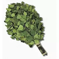 Веник для бани березовый (Узбекистан)