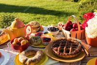 Пикник - по запросу