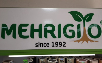 MEHRIGIO