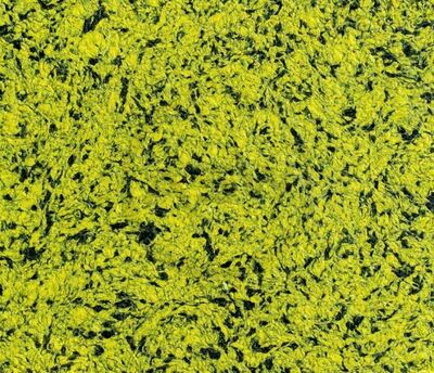 Suyuq devor qog'ozi (art-09)