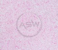 Жидкие обои (арт-13) - по запросу