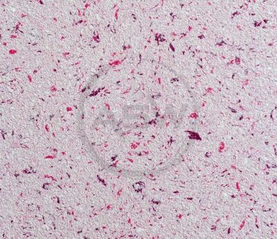 Suyuq devor qog'ozi (art-14)