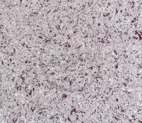 Suyuq devor qog'ozi (15-art) - по запросу