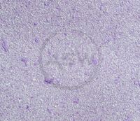 Suyuq devor qog'ozi (art-18)