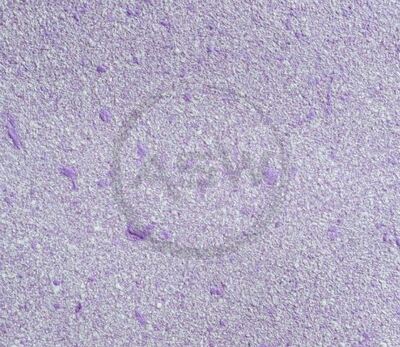 Suyuq devor qog'ozi (art-18)