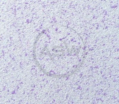 Suyuq devor qog'ozi (art-18)