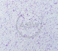 Suyuq devor qog'ozi (art-18) - по запросу