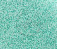 Suyuq devor qog'ozi (23-modda)