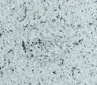 Suyuq devor qog'ozi (29-modda) - по запросу