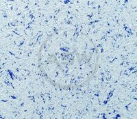 Жидкие обои (арт-33)