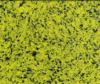 Suyuq fon rasmi Silk Decor Economy (art. S17)