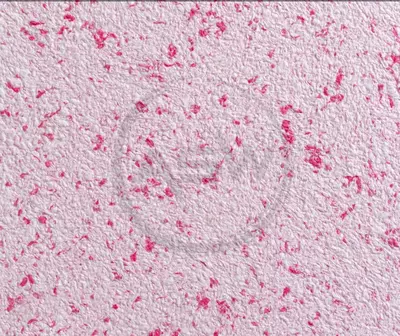 Жидкие обои Silk Decor Economy (арт. S34)