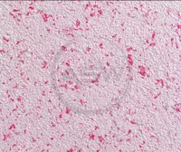 Suyuq fon rasmi Silk Decor Economy (art. S34)