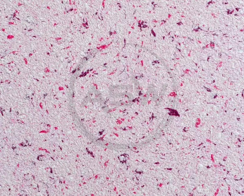 Suyuq fon rasmi Silk Decor Economy (art. S42)