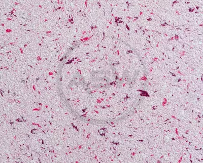 Suyuq fon rasmi Silk Decor Economy (art. S42) - Narx so&#039;rov asosida