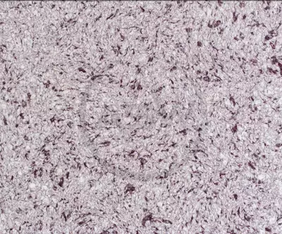 Suyuq fon rasmi Silk Decor Economy (art. S43)