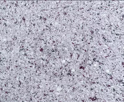 Suyuq fon rasmi Silk Decor Economy (art. S45)