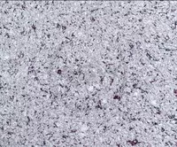 Жидкие обои Silk Decor Economy (арт. S45)