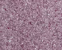 Жидкие обои Silk Decor Economy (арт. S46)