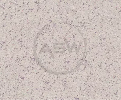 Жидкие обои Silk Decor Economy (арт. S52)