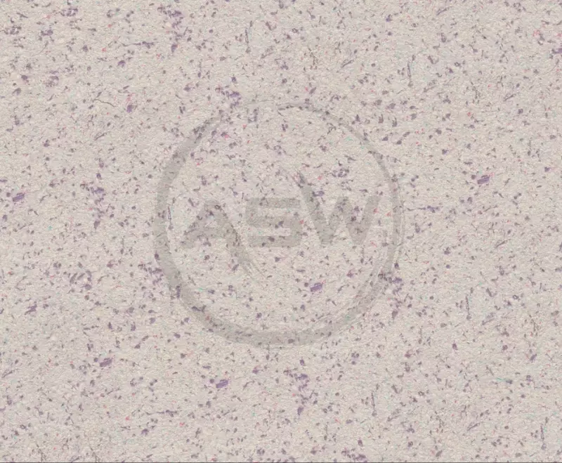 Suyuq fon rasmi Silk Decor Economy (art. S52)