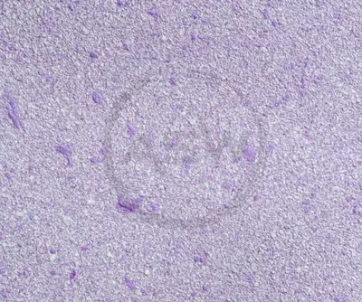 Жидкие обои Silk Decor Economy (арт. S53)