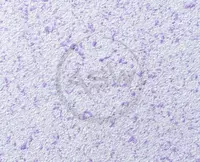 Жидкие обои Silk Decor Economy (арт. S55)