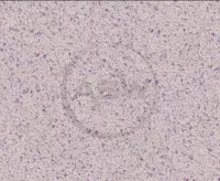 Suyuq fon rasmi Silk Decor Economy (art. S56)