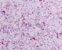 Suyuq fon rasmi Silk Decor Economy (art. S57)