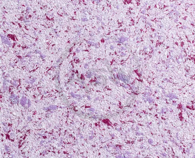 Suyuq fon rasmi Silk Decor Economy (art. S57)