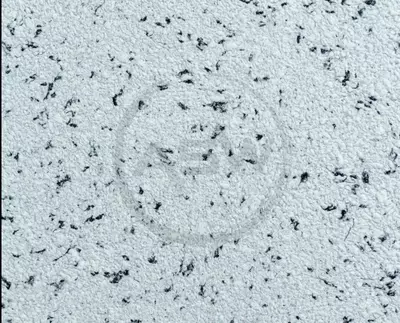 Suyuq fon rasmi Silk Decor Economy (art. S74)