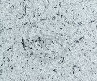 Жидкие обои Silk Decor Economy (арт. S75)