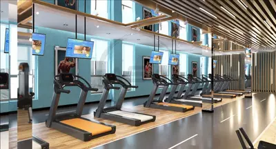 Suyuq fon rasmi Silk Decor Economy (art. S84) Chakana savdo