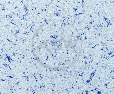 Жидкие обои Silk Decor Economy (арт. S86)