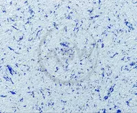 Suyuq fon rasmi Silk Decor Economy (art. S86)