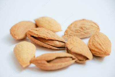 Qobiqdagi bodom (qog