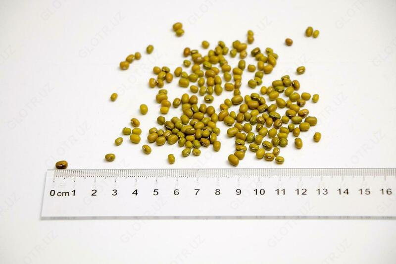 Mung loviya (3mm-3 + mm)