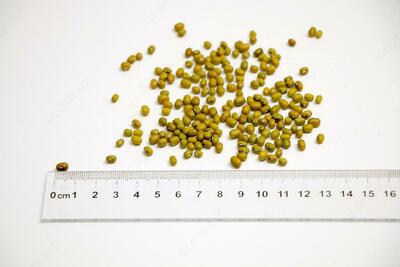 Бобы Мунг (3мм-3+мм)