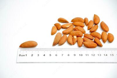 Tozalangan bodom, kalibrlangan.