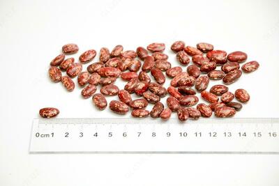 Фасоль "Супер Королевская" (60/70)