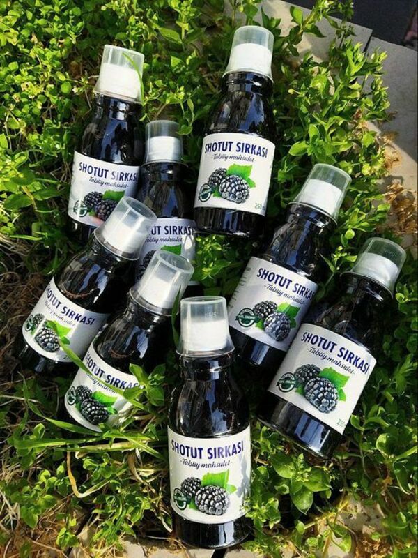 ШОТУТ-УКСУС - от 250 000 сум