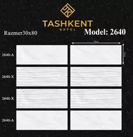 Керамическая кафельная плитка Ташкент 30/80