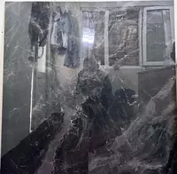 морозостойкая