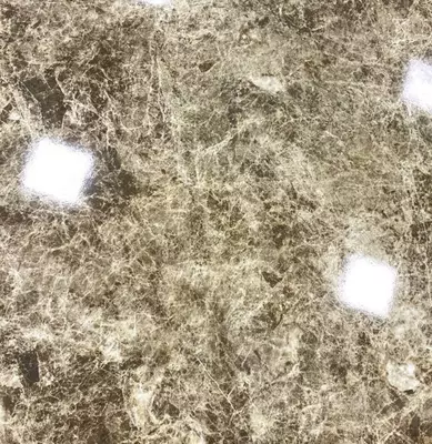 Керамогранитная плитка (глянцевая) "Angran SAS" Cod 9904 C